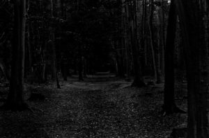 lwsm_dark-path_1994-test_159